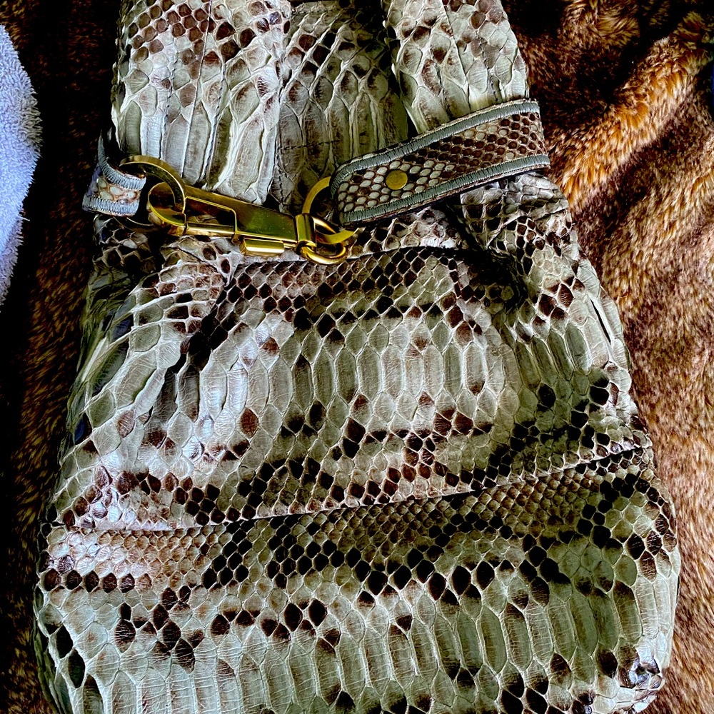 Chloe phyton bag